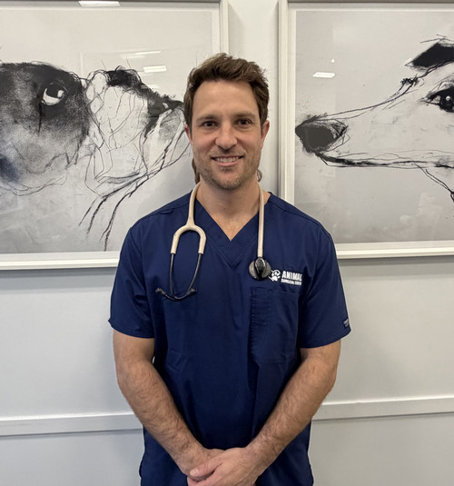 Santiago  Mejia, MVZ, DVM, DACVS‑LA, IVCA-Certified Chiropractic