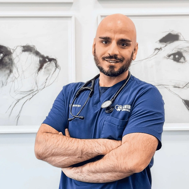 Kamran Babamohammadi, DVM