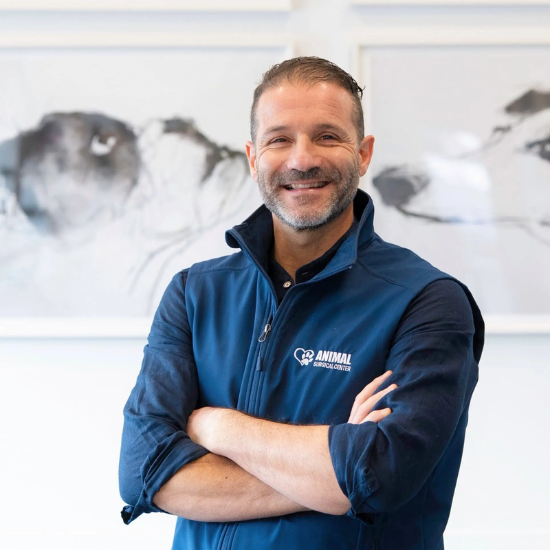 Tomas Infernuso, DVM, DACVS